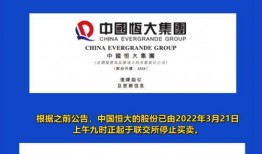 重大热点爆料最新消息新闻,重大热点新闻最新进展，揭秘背后真相
